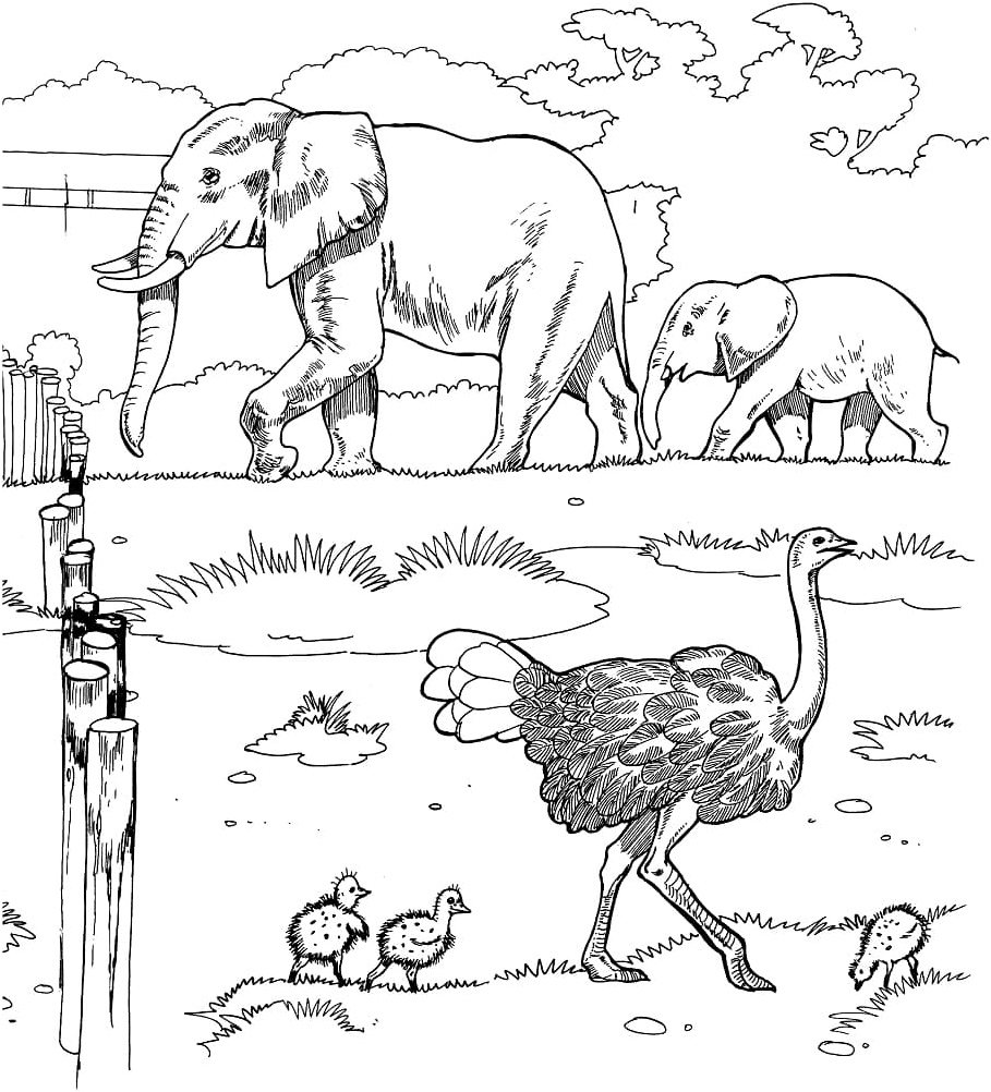African Wildlife Coloring Page Coloring Page