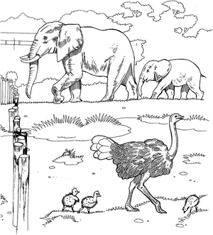African Wildlife Coloring Page
