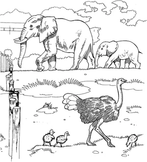 African Wildlife Coloring Page Coloring Page