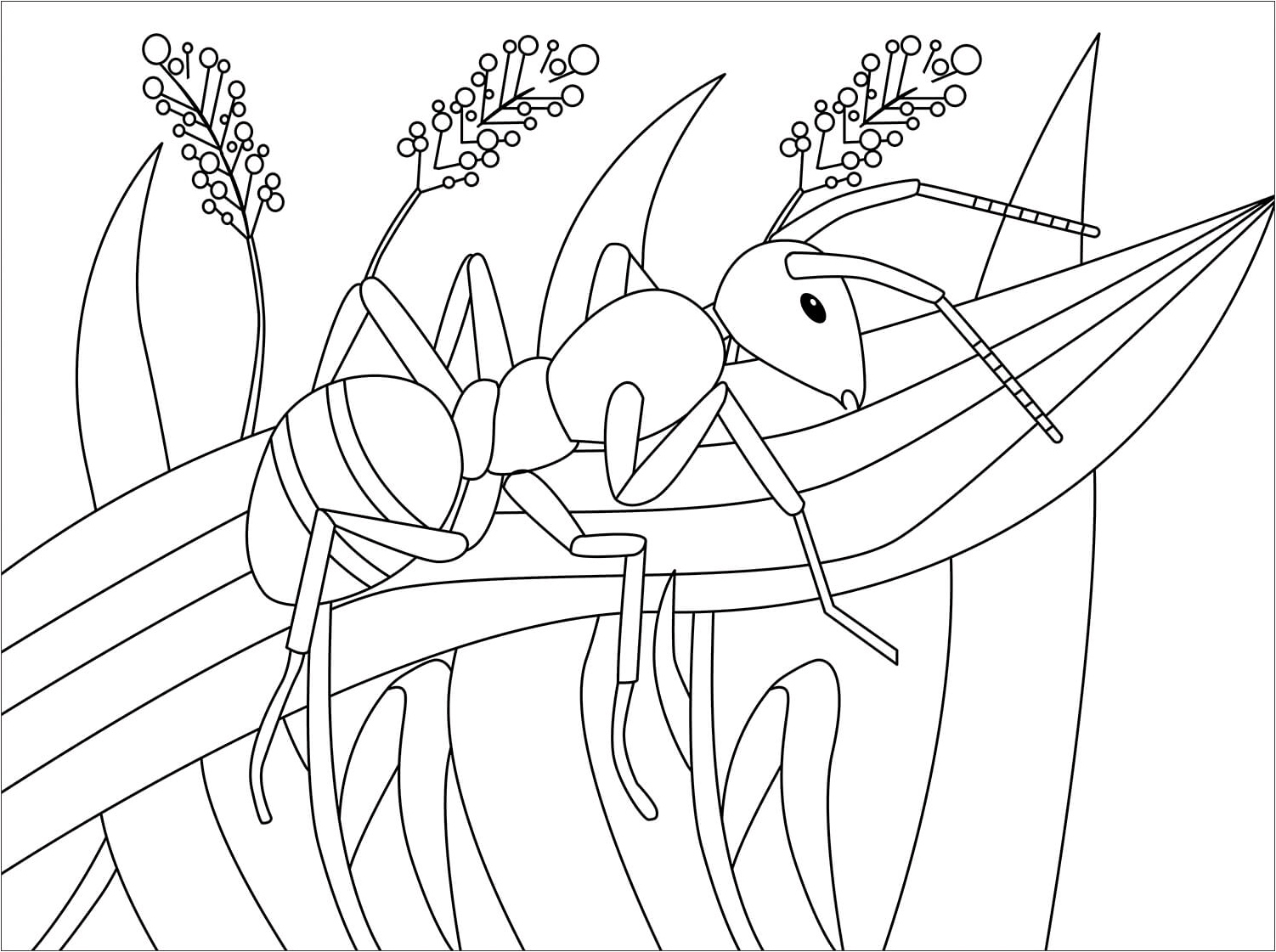Ant Crawling in the Grass Coloring Page