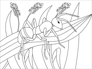 Ant Crawling in the Grass Coloring Page
