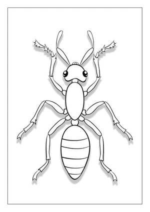 Free Ant Images Coloring Page