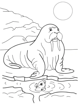 Fishing Expedition Coloring Page