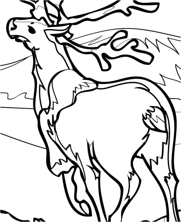 Northland Deer Coloring Page