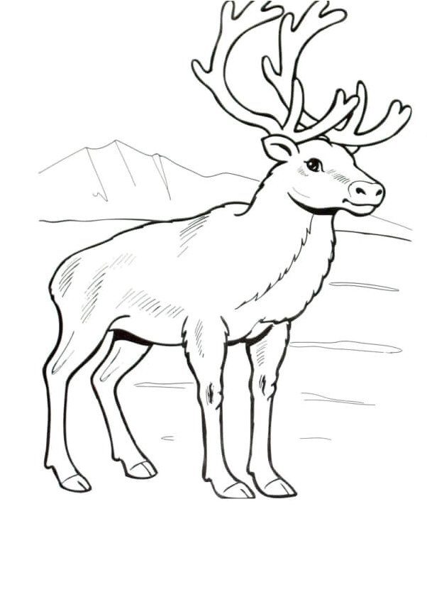 Regal Reindeer Coloring Page