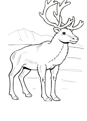 Regal Reindeer Coloring Page