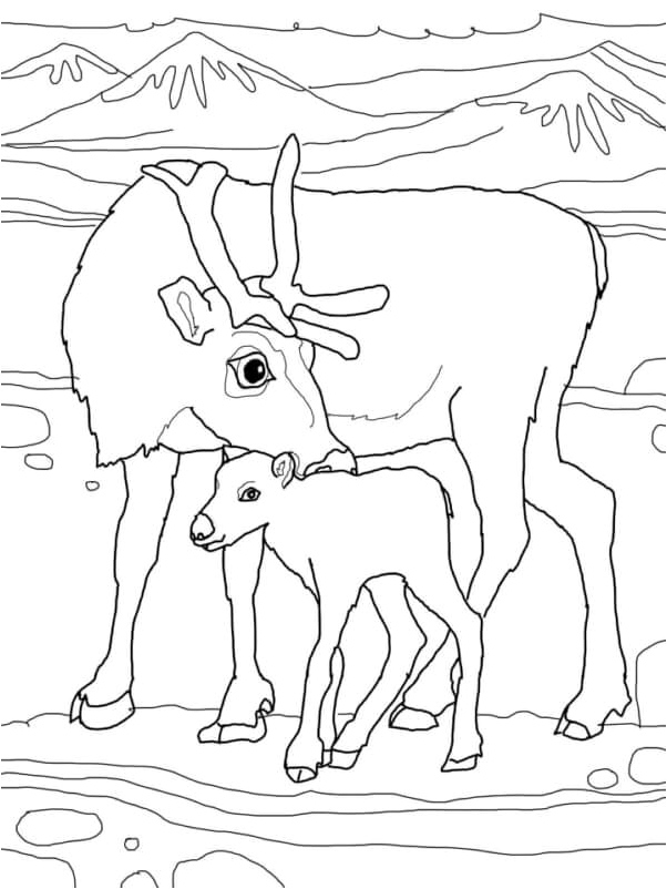 Reindeer Can Be Spotted Roaming the Snowy Landscapes Coloring Page
