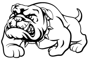 Bulldog