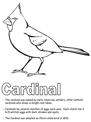 A Coloring Page of a Cardinal Bird