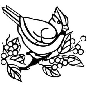 Free Cardinal Coloring Page