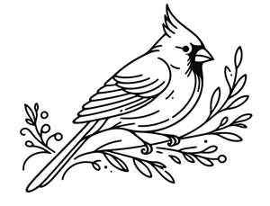 Regular Cardinal