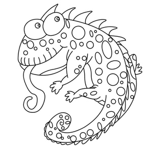 A Comical Chameleon