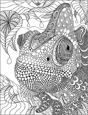 Chameleon