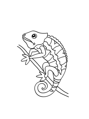 Rainbow Reptile