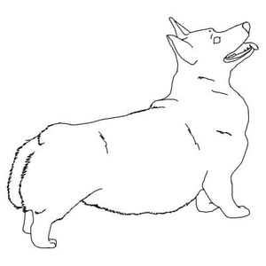 Basic Corgi Coloring Page