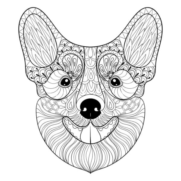 Corgi's Patterned Muzzle Coloring Page Coloring Page