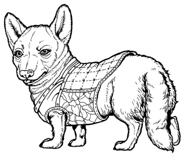 Corgi was dressed in winter gear so she wouldn't freeze. Coloring Page