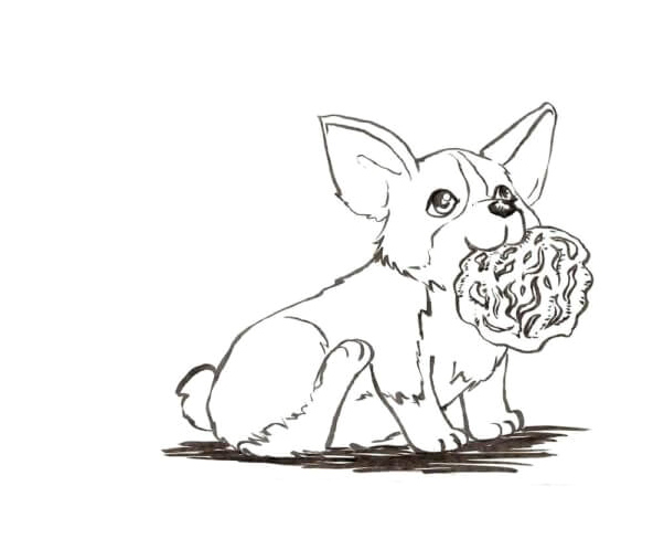 The small puppy pilfered a chunk of meat Coloring Page