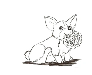 The small puppy pilfered a chunk of meat Coloring Page