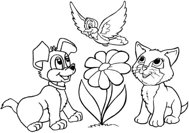 Dog, Cat, and Bird Coloring Page