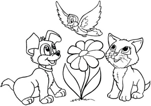 Dog, Cat, and Bird