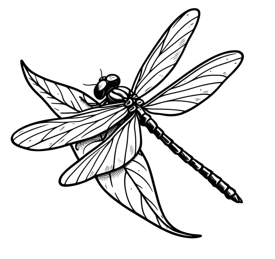 Dragonfly and Leaf Coloring Page