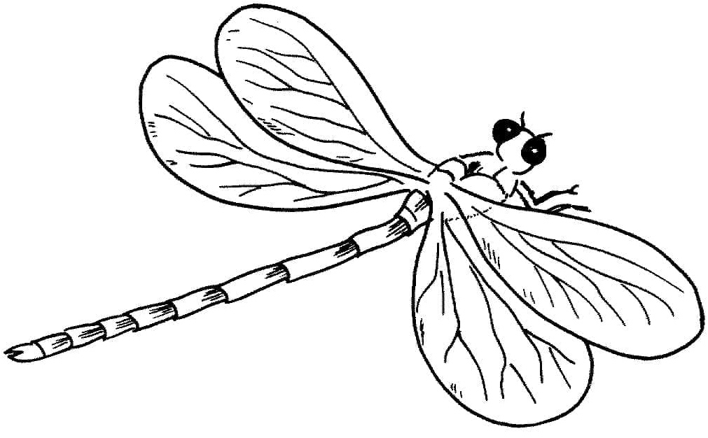 Dragonfly Coloring Page Coloring Page