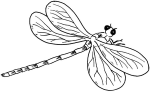 Dragonfly Coloring Page