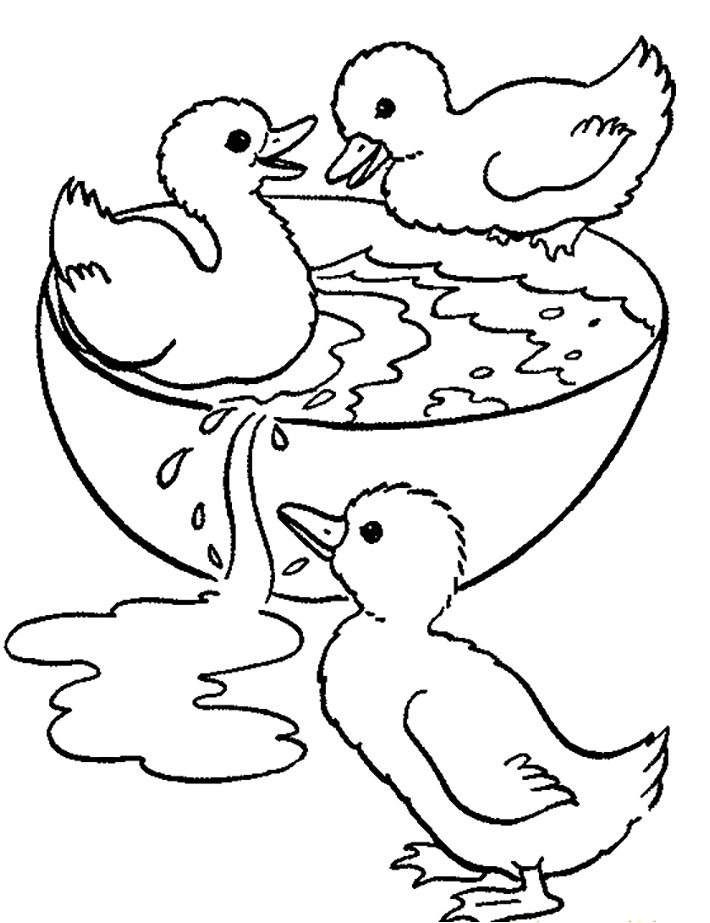 Ducklings splashing in the water Coloring Page