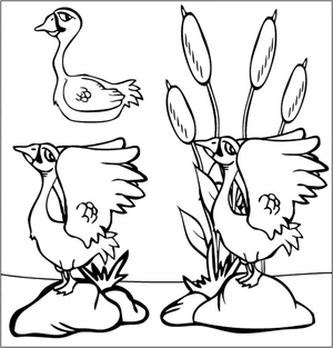 Ducks with identical expressions