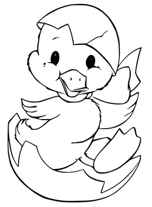 Cute Duckling