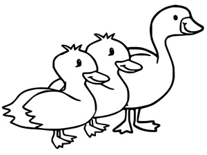 Duck and Baby Duckling