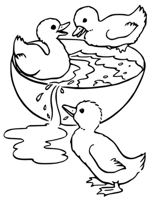 Ducky Babies