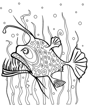 Fish of Fury