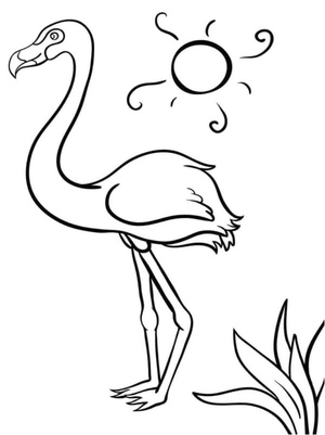 Flamingo under the Sun