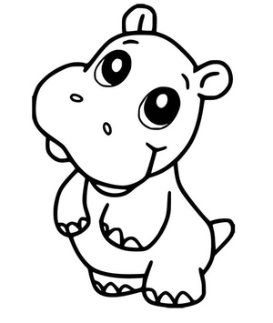 Adorable Hippopotamus Picture