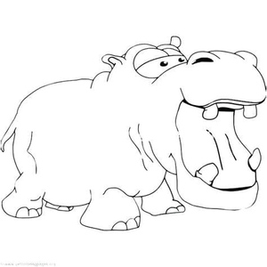 Hippos