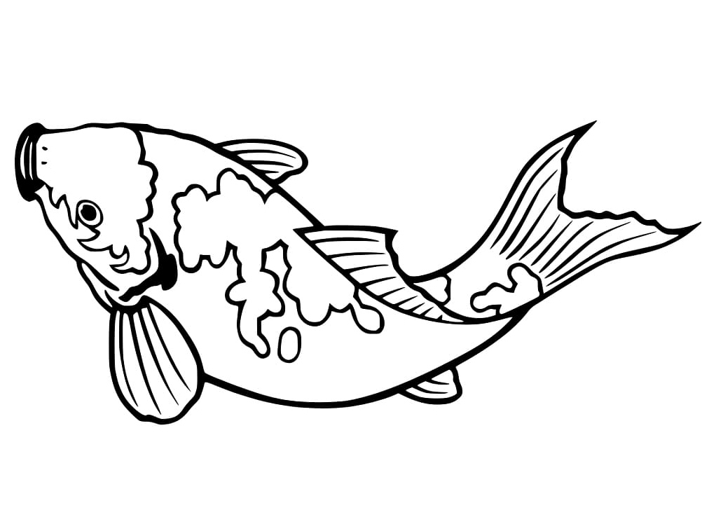Easy Koi Fish Coloring Page