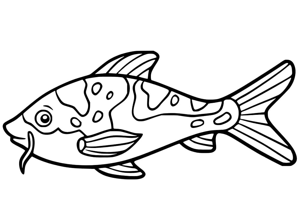 Koi Fish Cartoon Coloring Page