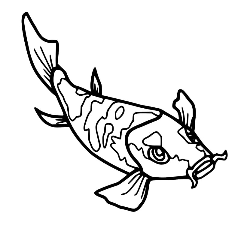 Koi Fish from Japan Coloring Page