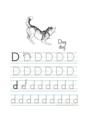 Tracing the Letter D - Simple Version Coloring Page