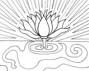Lotus Wonder