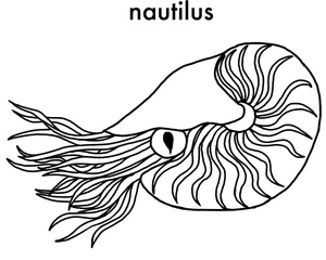 A Shellfish Coloring Page