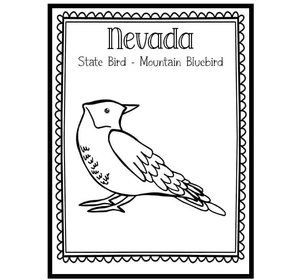 Bluebird of Nevada