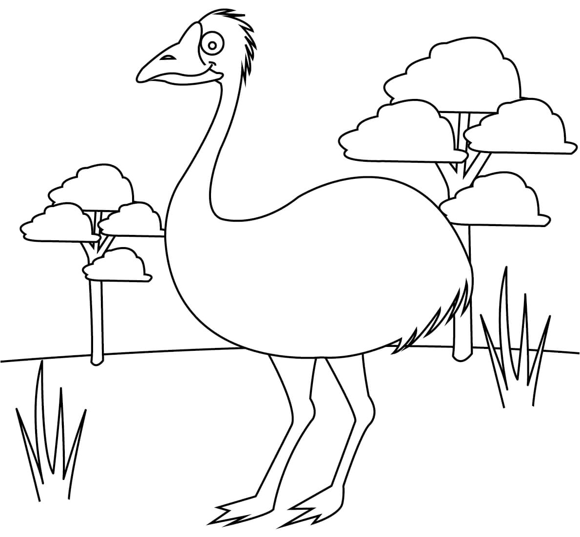 Emu from Australia Coloring Page