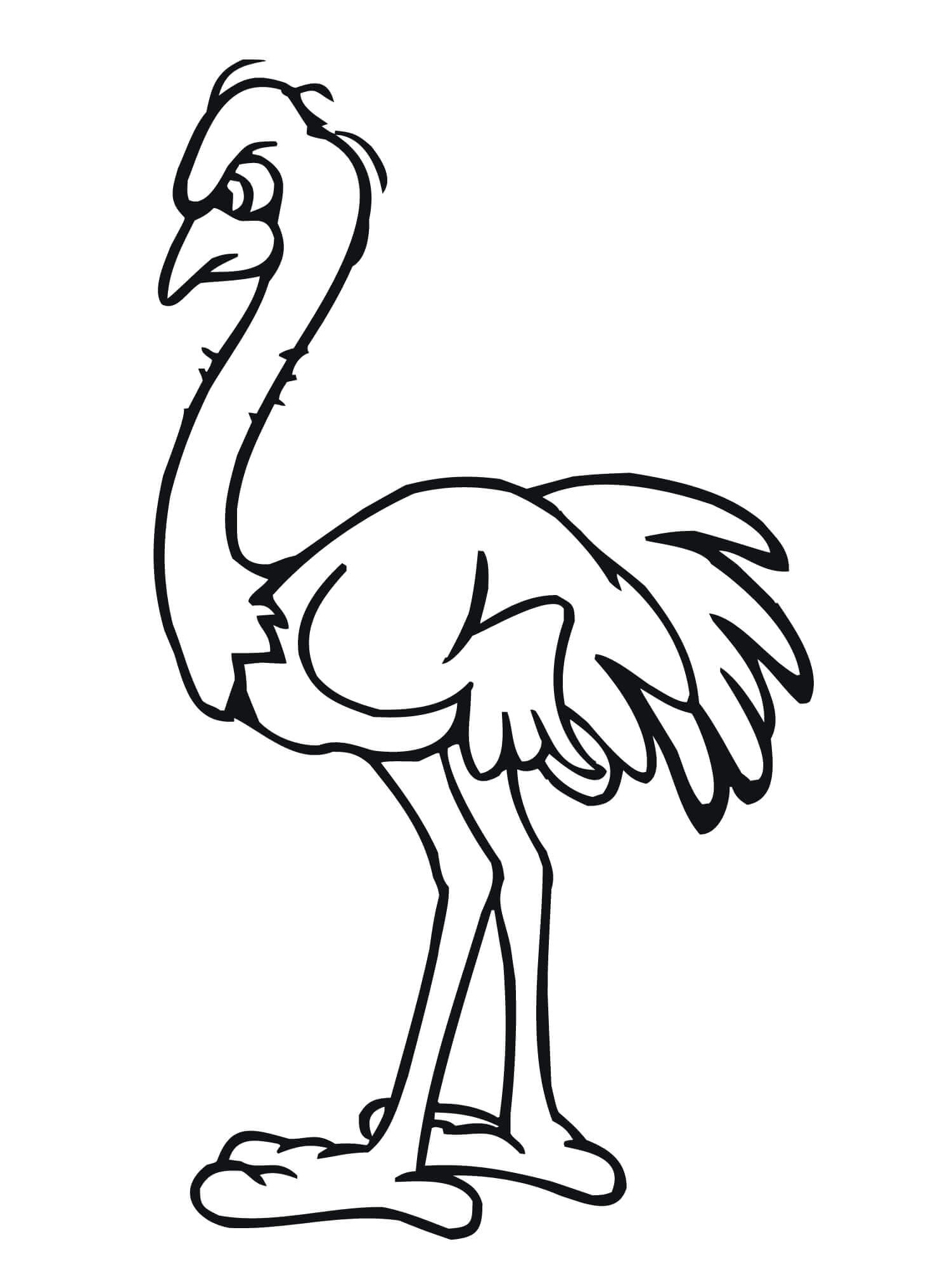 Furious Ostrich Coloring Page