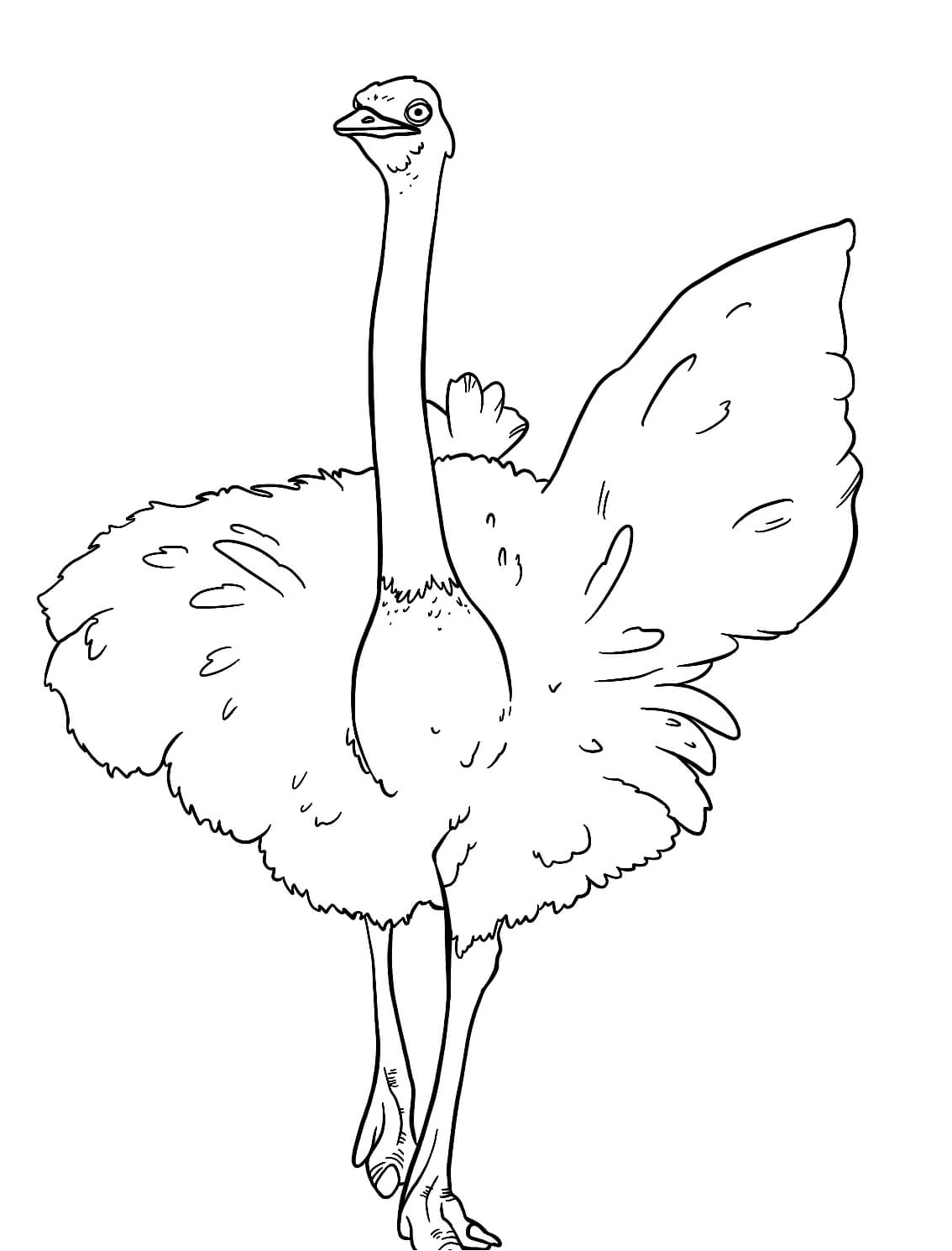 Majestic Ostrich Strolling Coloring Page