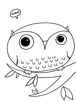 Owl