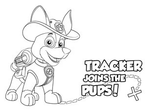 Paw Patrol Tracker