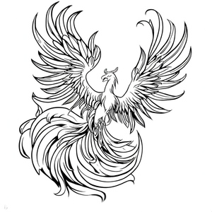 Drawing of a Phoenix